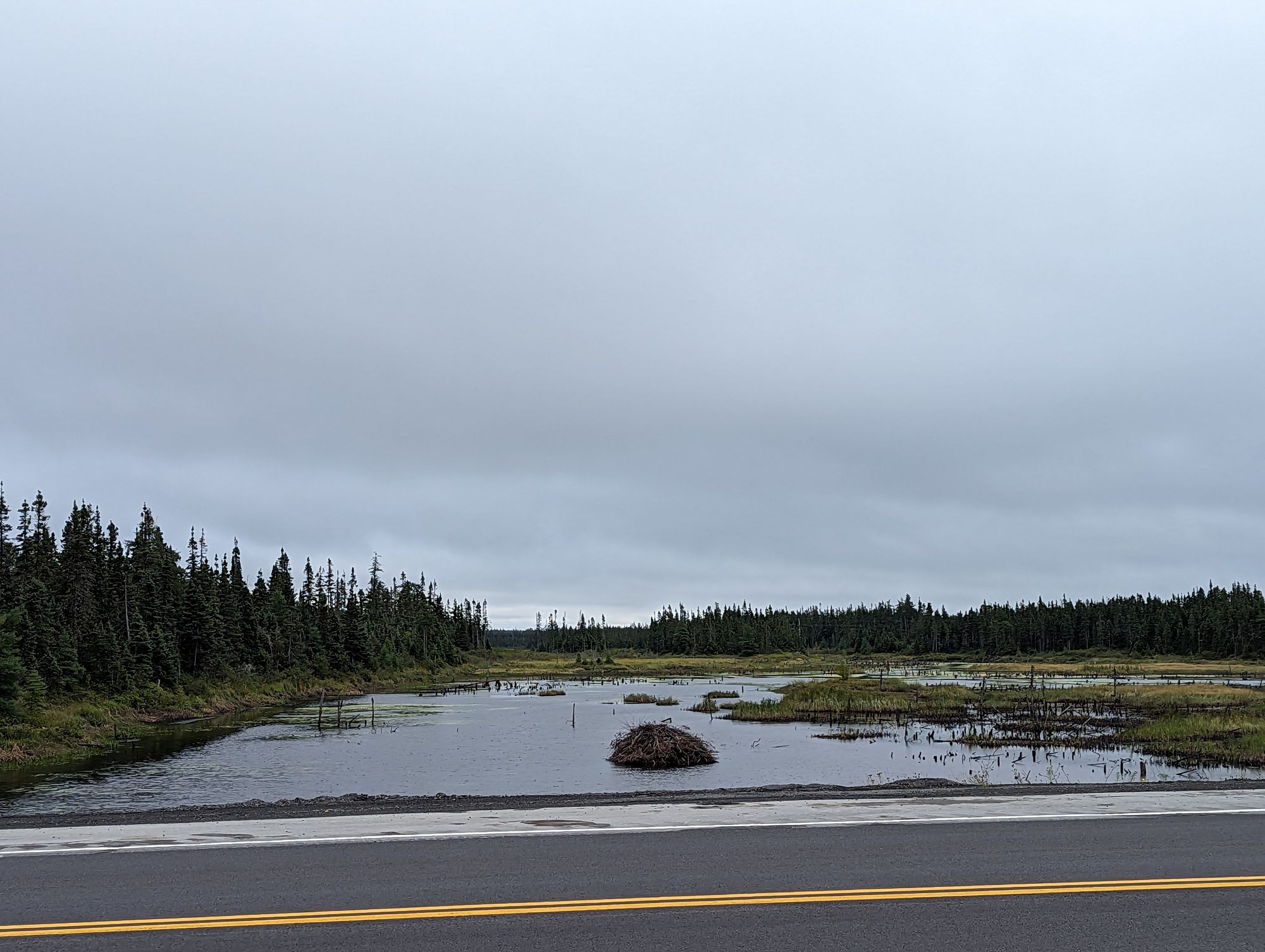 Day 120: Notre Dame, NFLD -> Terra Nova, NFLD