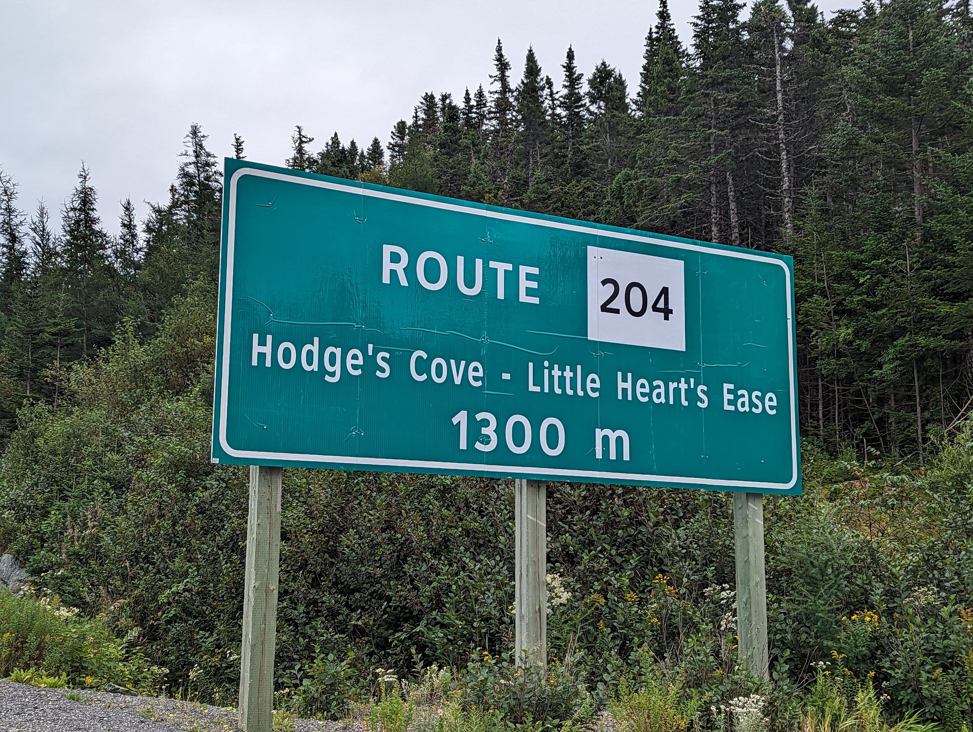 Day 121: Terra Nova, NFLD -> Arnold's Cove, NFLD