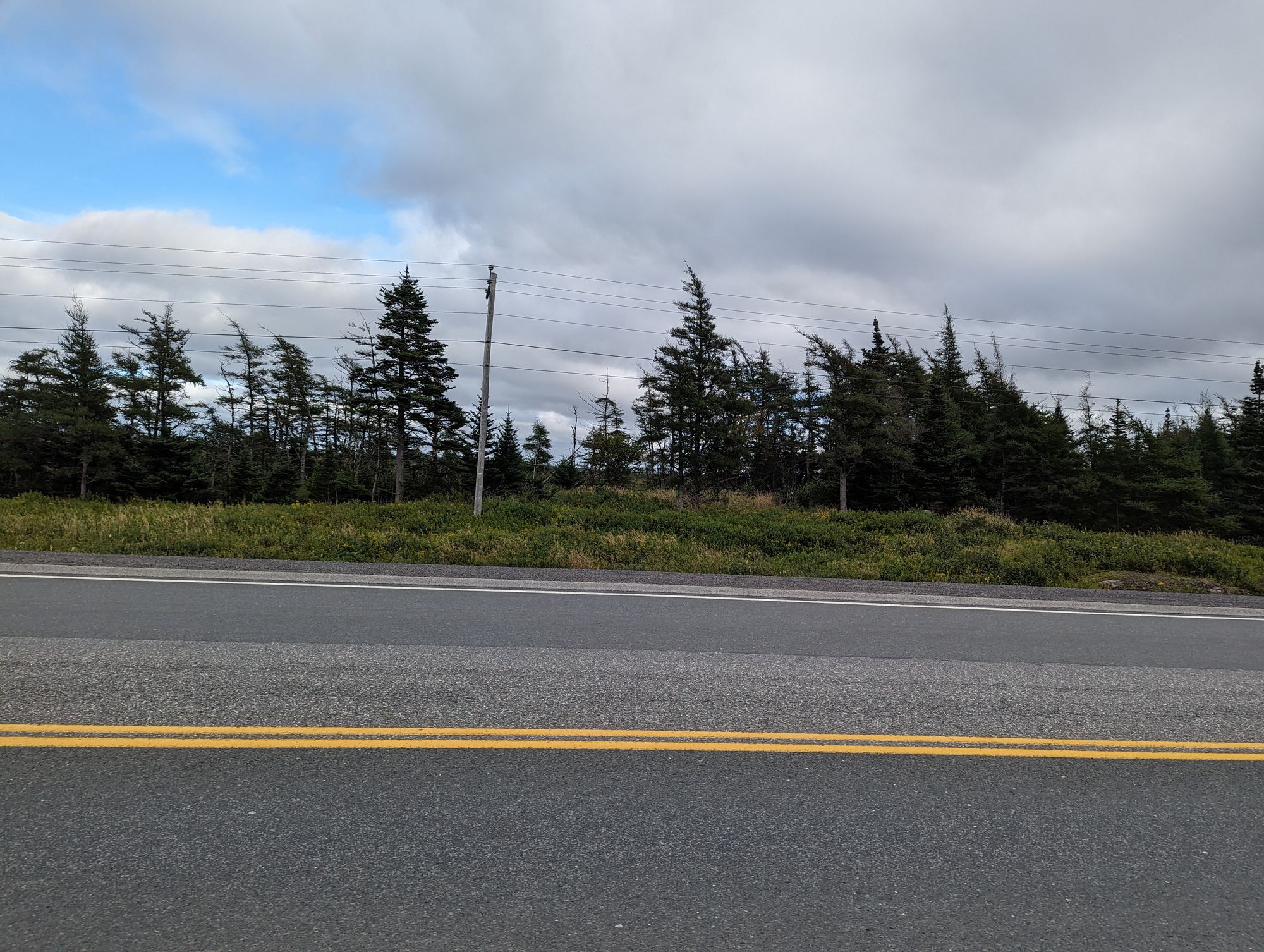 Day 121: Terra Nova, NFLD -> Arnold's Cove, NFLD