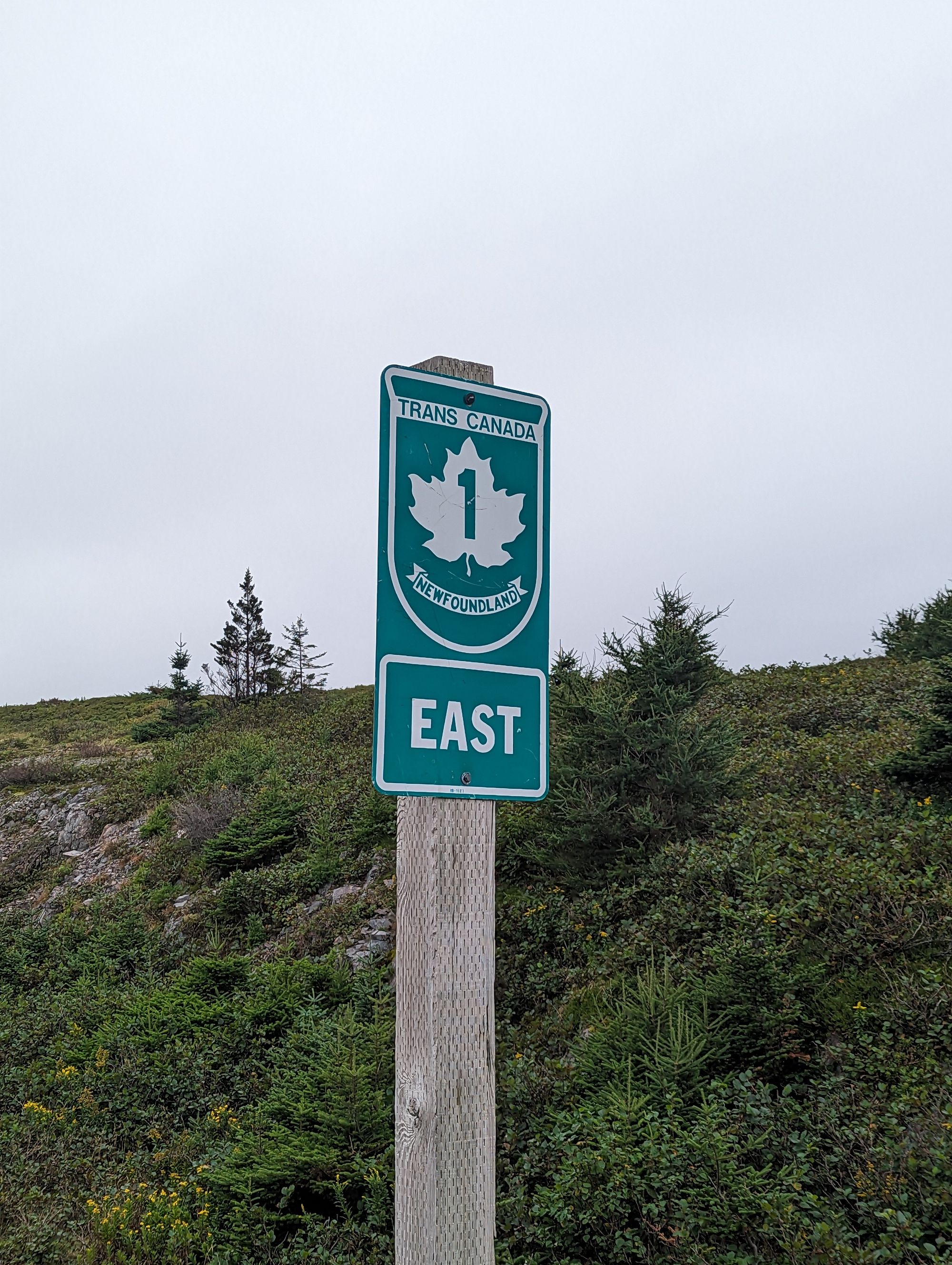 Day 122: Arnold's Cove, NFLD -> St. John's, NFLD