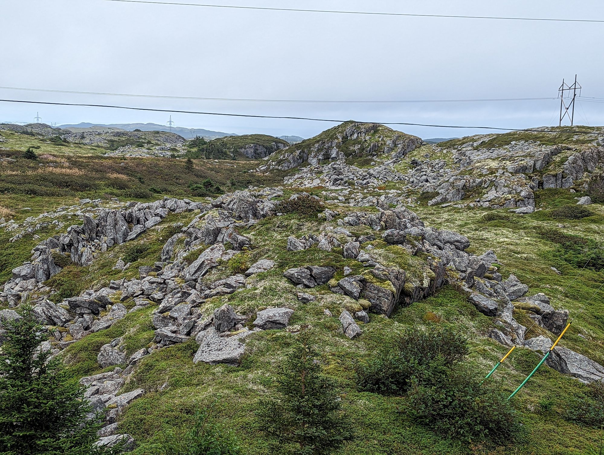 Day 122: Arnold's Cove, NFLD -> St. John's, NFLD