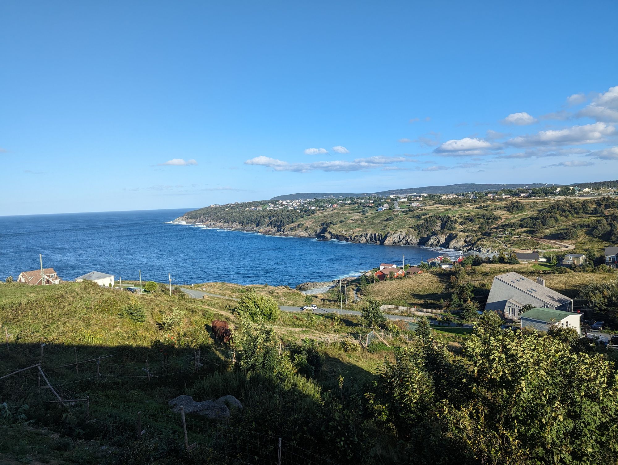 Zero Days: St. John's, NFLD