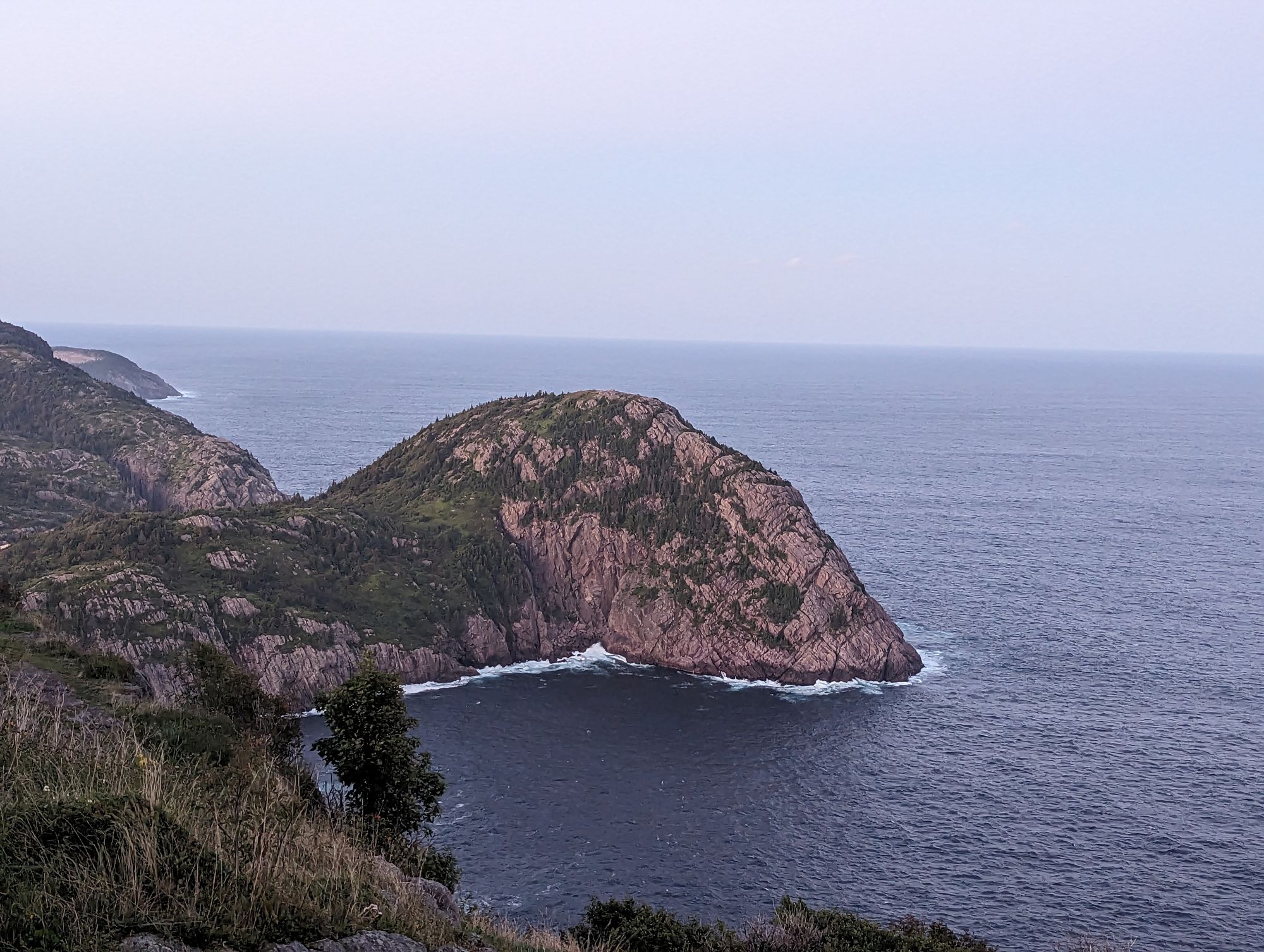 Zero Days: St. John's, NFLD