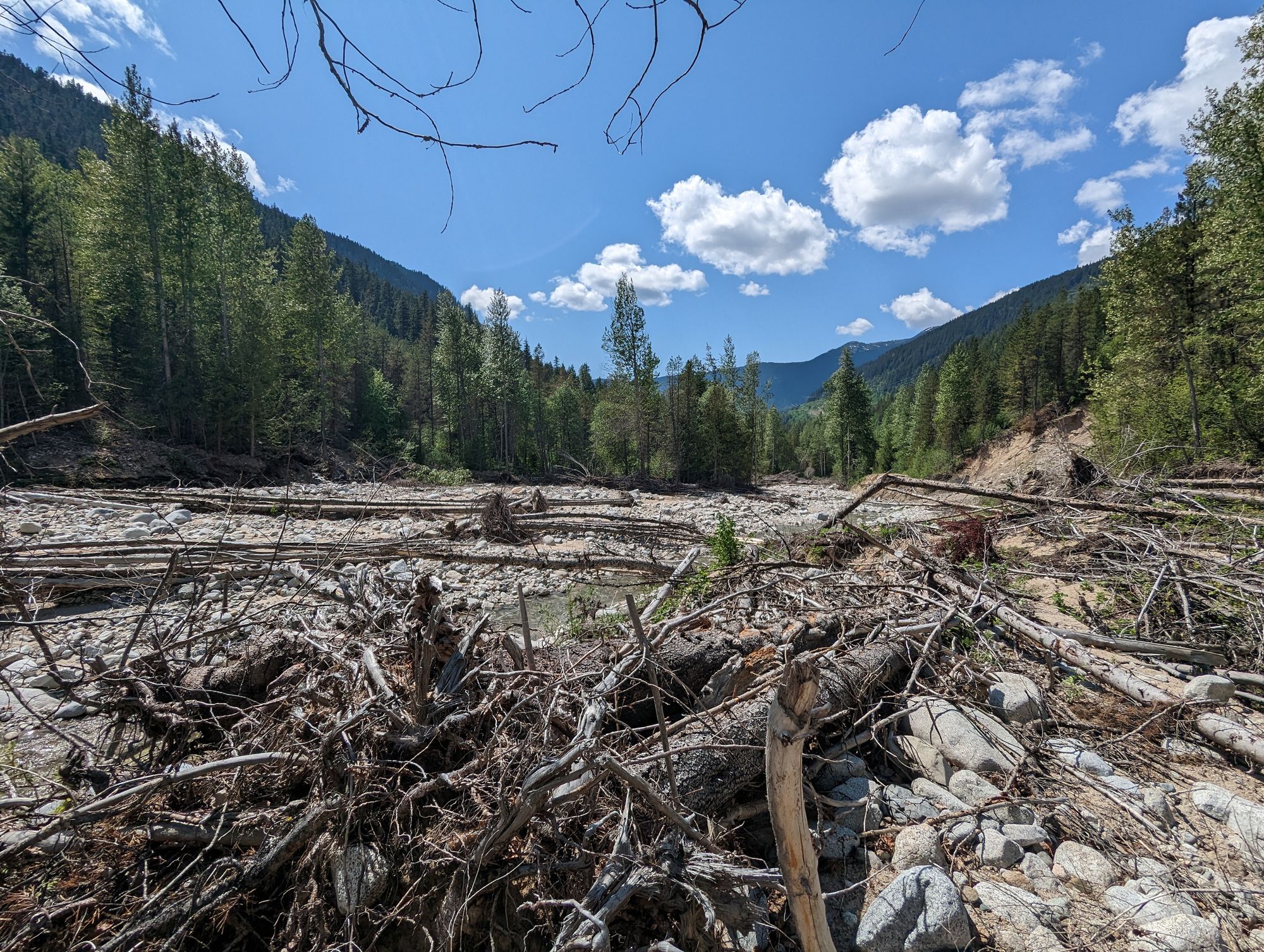 Day 12: Gillis Lake, BC -> Gillis Lake, BC