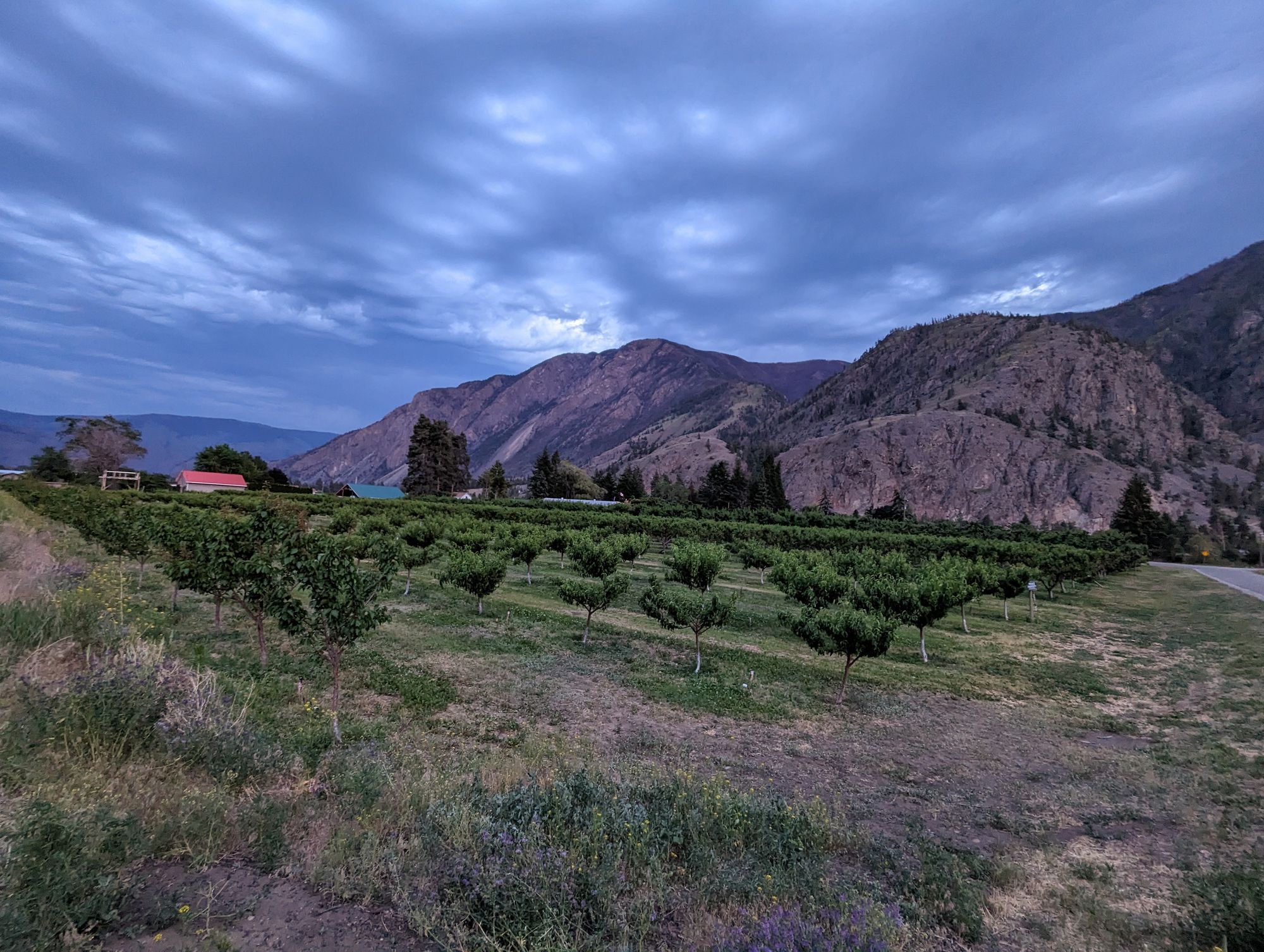 Day 24: Manning Park, BC -> Keremeos, BC