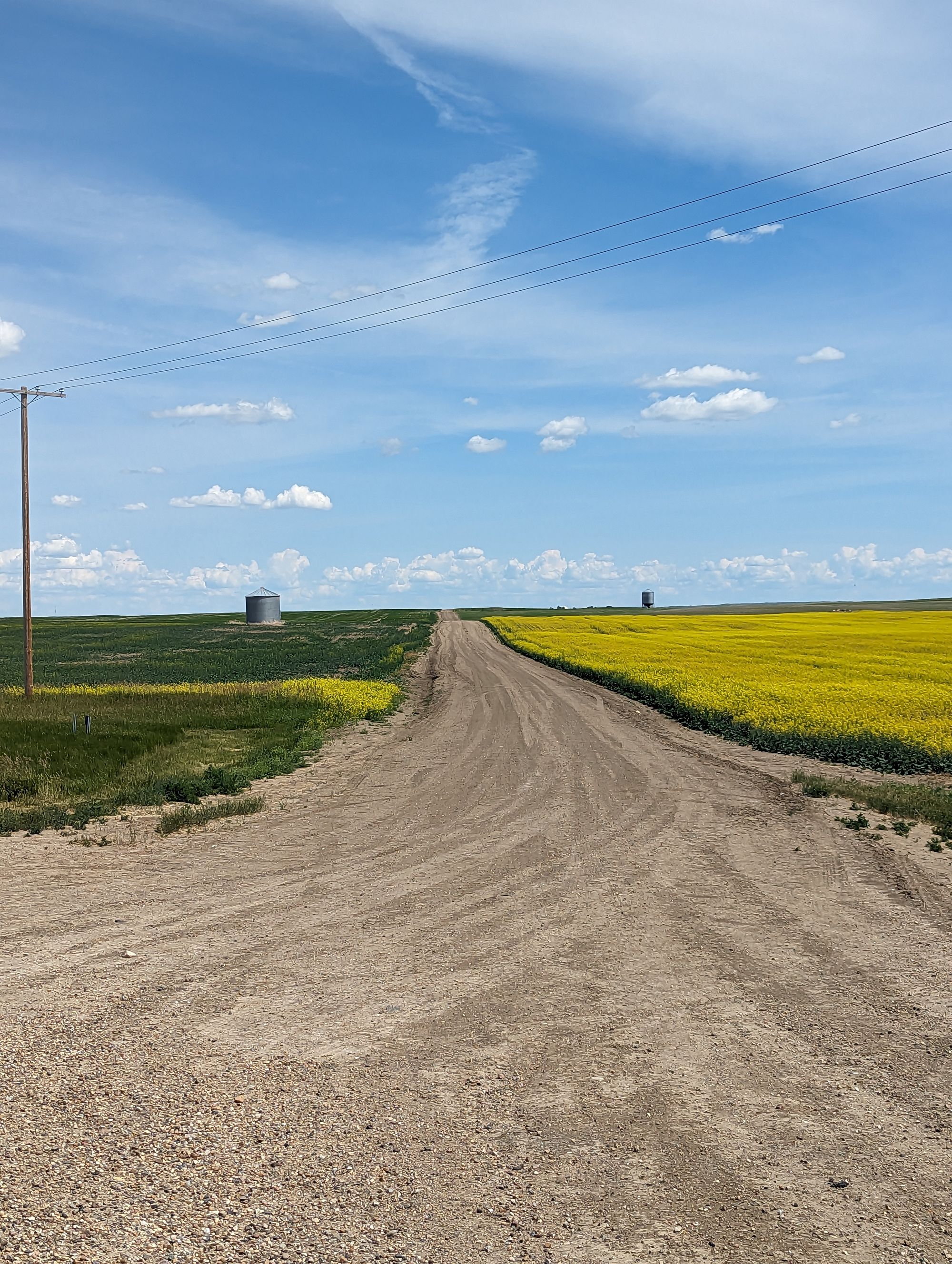 Day 40: Cereal, AB -> Kindersley, SK