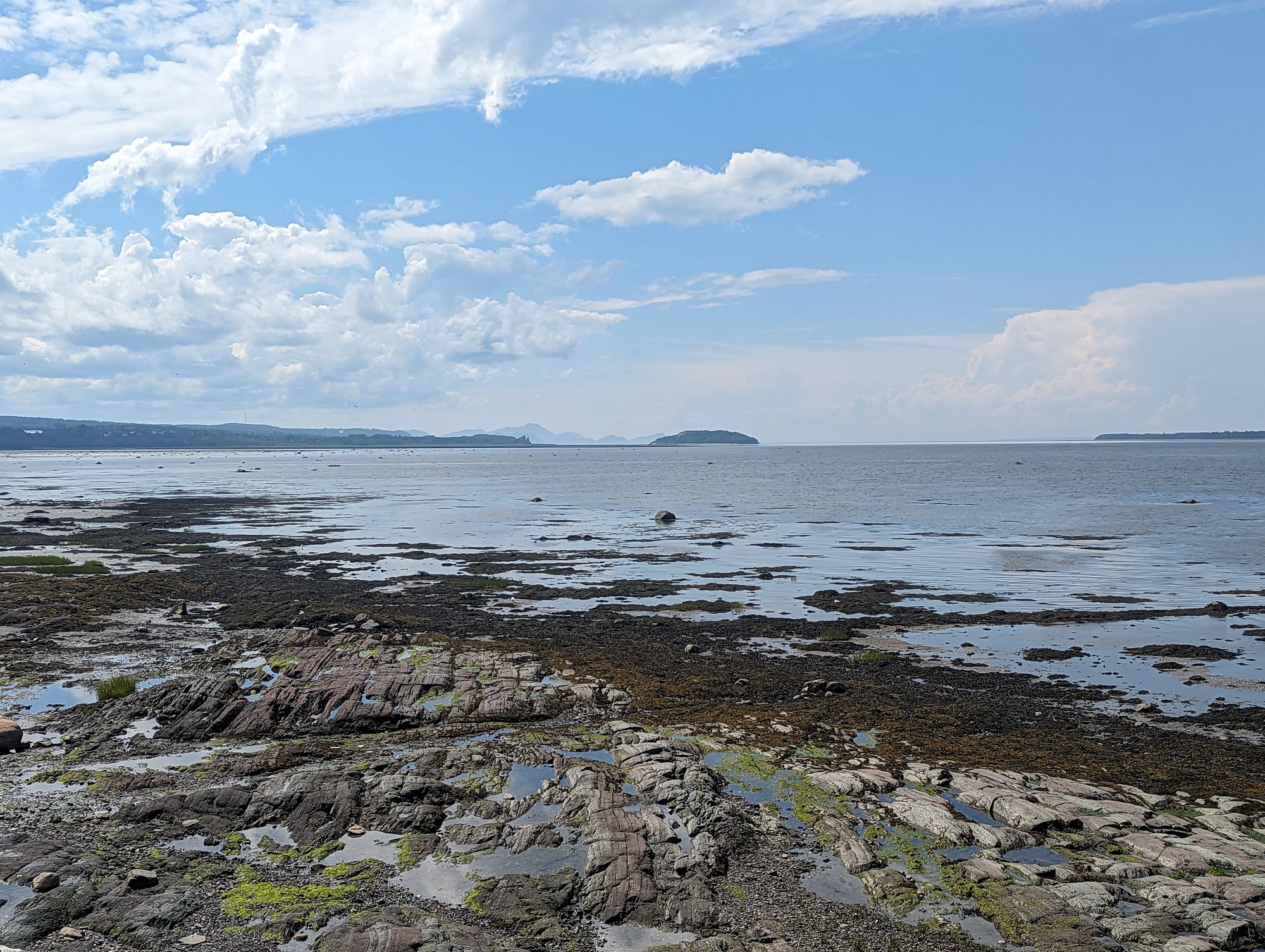 Day 96: Trois-Pistoles, QC -> Val-Brillant, QC