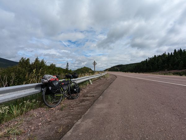 Day 118: Deer Lake, NFLD -> South Brook, NFLD